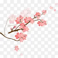 粉色樱花素材图片