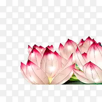 荷花花灯