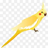 黄色鹦鹉
