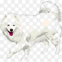 矢量白色小狗