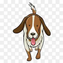 狗狗