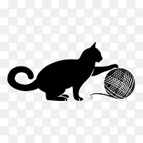 小猫 动物