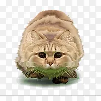 大猫矢量