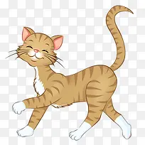 可爱猫咪