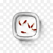 鱼缸红色小鱼