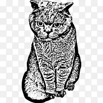 矢量手绘猫咪