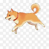 奔跑的柴犬