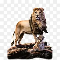 狮与虎