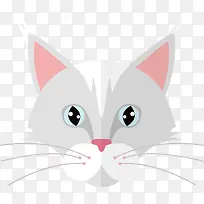 宠物猫图案
