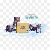 豹子和尿不湿