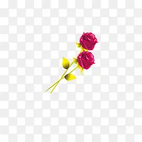 玫瑰花花枝花朵花瓣