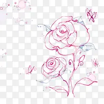 玫瑰插画