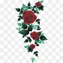 手绘情人节装饰玫瑰花素材