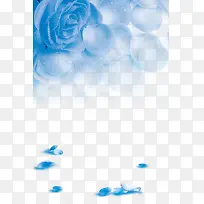 蓝色玫瑰背景图案