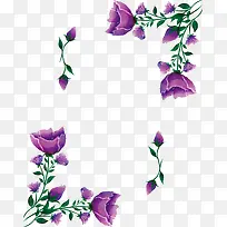 紫色玫瑰边框