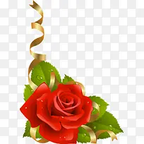 玫瑰花花卉边框