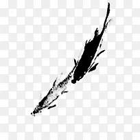 鱼