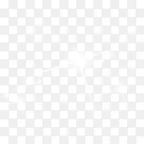 光