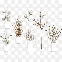 花瓶里的干花