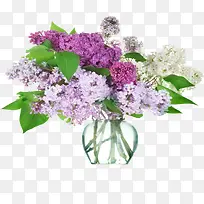 紫色花瓶花束环境素材