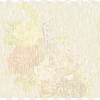 纸