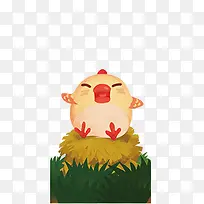 小鸡