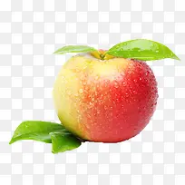 水果图案手绘水果图片 清新苹果