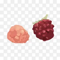 矢量树莓