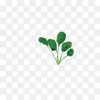 手绘绿色蔬菜
