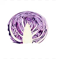 紫色卷心菜