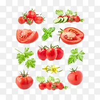西红柿 蔬菜