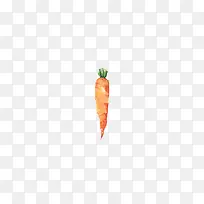 手绘蔬菜