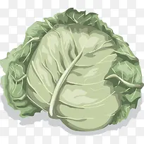 包菜矢量