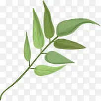 手绘清新花草