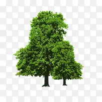 绿色树木图案