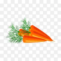 精美蔬菜红萝卜