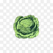 包菜