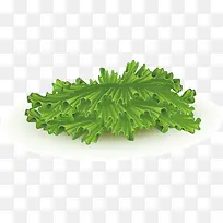 矢量汉堡元素生菜
