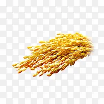 高清黄色粮食燕麦