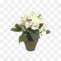 欧美流行插花 绿植物 鲜花软装