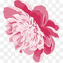 粉色菊花矢量图