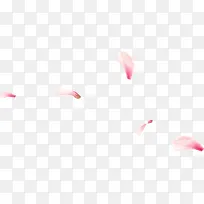 漂浮粉色花瓣春天装饰