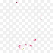 花瓣