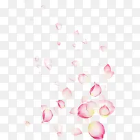 粉色卡通花瓣唯美