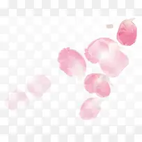 粉色浪漫甜蜜花瓣玫瑰
