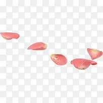温馨节日粉色花瓣