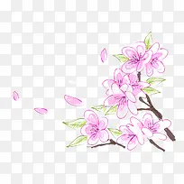 手绘卡通粉色桃花花瓣