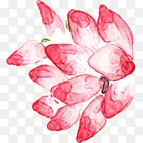 手绘粉色水彩花瓣
