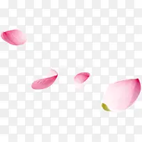 桃花花瓣节日鲜花飘落装饰粉红素材背景