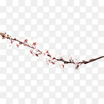 白色手绘梅花花枝
